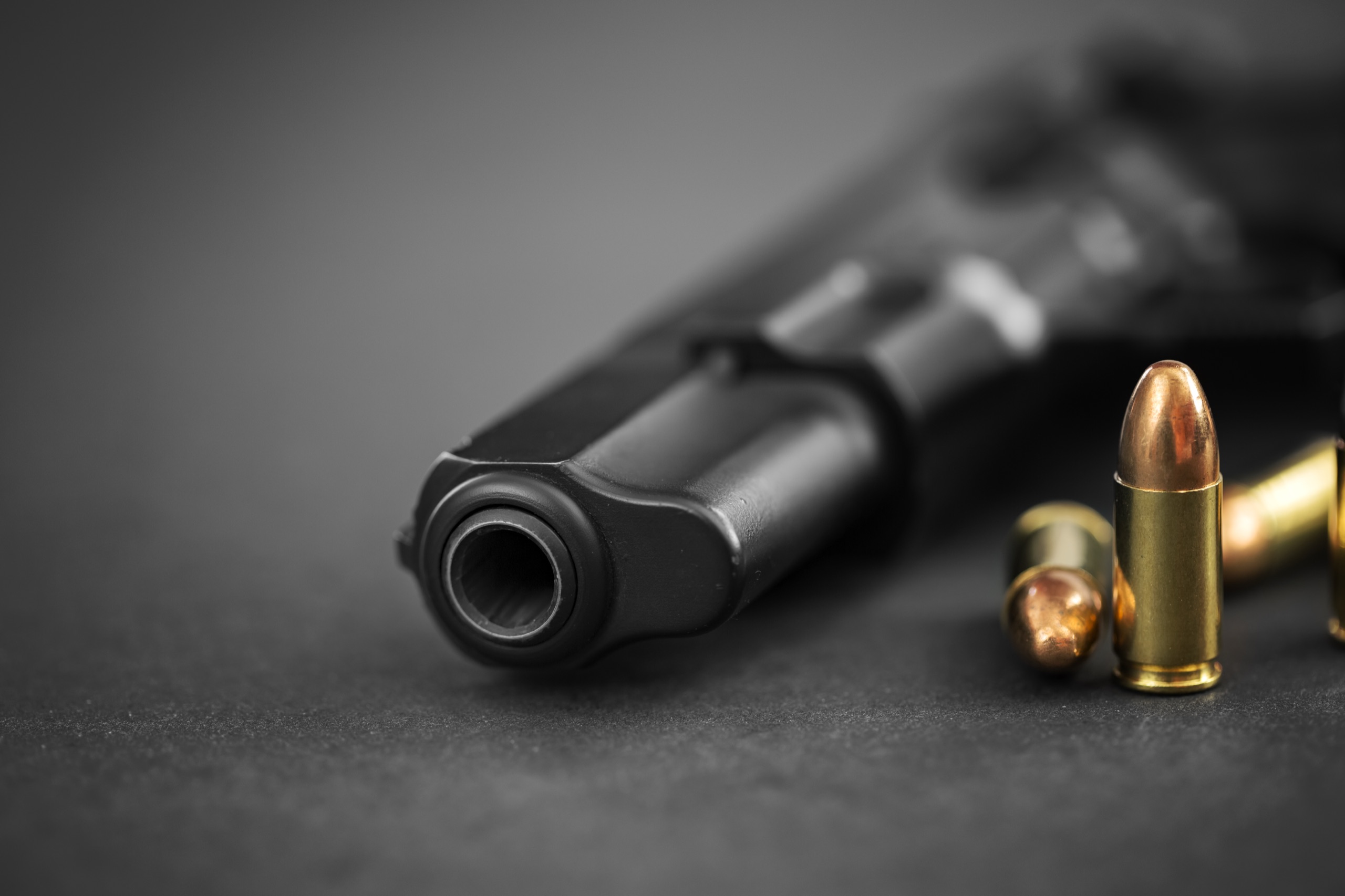 Gun Owner Brochure
